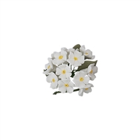 Small Gum Paste Hydrangea Bunch - White