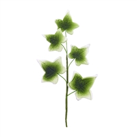 5 Leaf Gum Paste Ivy Leaf Spray  - Moss With Light Edging
