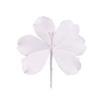 Gum Paste Gladiola - White