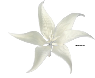 Gum Paste Lily - White