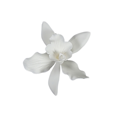 Small Cattleya Orchid - White