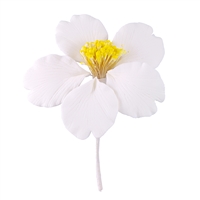 Medium Gum Paste Camellia Blossom - White With Yellow Stamens