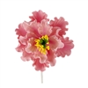 XL Gum Paste Peony Blossom - Pink With Yellow And Green Center