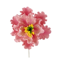 XL Gum Paste Peony Blossom - Pink With Yellow And Green Center
