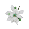 Medium Gum Paste Deluxe Poinsettia - White