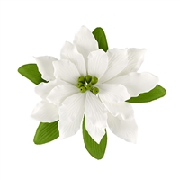 Large Gum Paste Deluxe Poinsettia - White