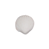 Med-Lg Gum Paste Sea Shells