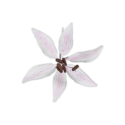 Medium Gum Paste Stargazer Lily - Pale Pink