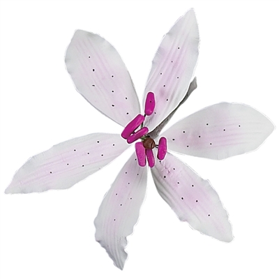 Large Gum Paste Stargazer Lily - Pale Pink