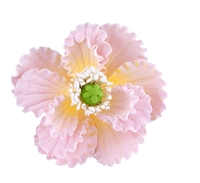 Gum Paste Summer Poppy - Pink