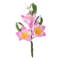 Gum Paste Star Lily Spray - Assorted Colors