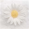 Gum Paste Shasta Daisy (Medium) - White