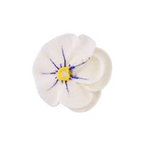 Large Royal Icing Pansy - White