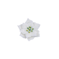 Med-Lg Royal Icing Poinsettia - White