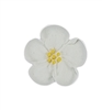 Med-Lg Royal Icing Wild Rose - White