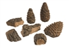 Decor Pack: Includes 4 small wood chips plus 3 small size pine cones