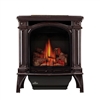 The Napoleon Bayfield Direct Vent Gas Stove