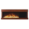 Napoleon Stylus Steinfeld Wallmount Electric Fireplace