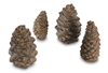 Designer Pine Cones- 4 Assorted Sizes