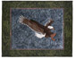 Quilt block of an eagle catching a trout