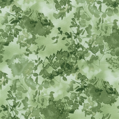 Cyanotype leaves and flowers in grass and olive green.