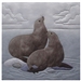 Quilt block of two seals frolicking.