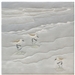 Quilt block of sandpipers looking for food on a beach.