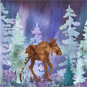 A mama moose moves through the forest