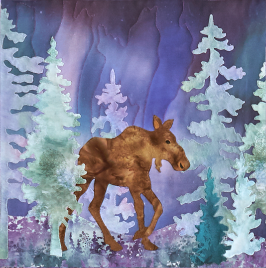 A mama moose moves through the forest