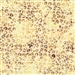Batik fabric in leopard print in brown and gold tones