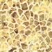 Batik fabric in giraffe print in gold tones