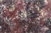 Batik fabric with an abstract fish scale print in dark pink and maroon tones