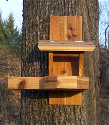 Squirrel Buddy Plus - Squirrel Feeder