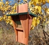 Dual Suet Feeder w/Tail Prop Rustic Red w/Green Roof