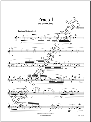 Beltrami, Fractal