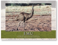 EMU - Standard Postcard  AOB-019