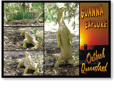 Goanna Explore Outback Queensland - Standard Postcard  AOB-028