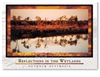 Reflections in the Wetlands - Standard Postcard  AOB-032