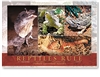 Reptiles Rule - Large Postcard  AOBL-003