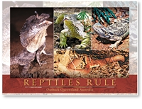 Reptiles Rule - Large Postcard  AOBL-003