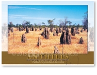 Anthills - Large Postcard  AOBL-010