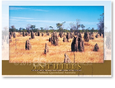 Anthills - Large Postcard  AOBL-010