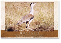 Bustard - Small Magnets  AOBM-053
