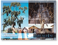 Tree of Knowledge - Standard Postcard  BAR-009