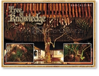 Tree of Knowledge - Standard Postcard  BAR-010