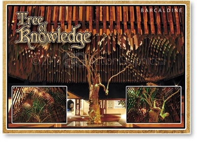 Tree of Knowledge - Standard Postcard  BAR-010