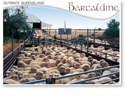 Barcaldine Outback Queensland - DISCOUNTED Standard Postcard  BAR-222