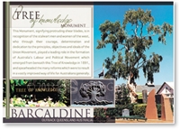 Tree of Knowledge - DISCOUNTED Standard Postcard  BAR-232