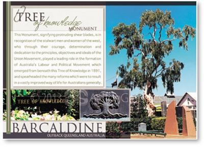 Tree of Knowledge - DISCOUNTED Standard Postcard  BAR-232