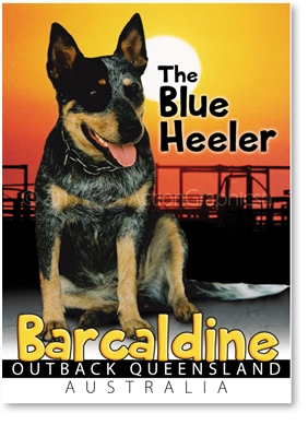 The Blue Heeler - Small Magnets  BARM-009